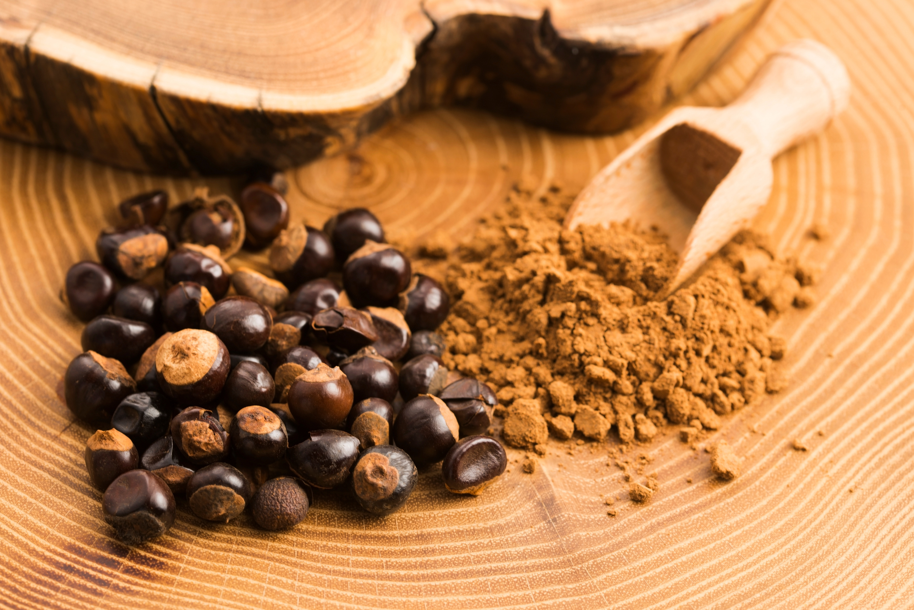 Guarana seeds and powder